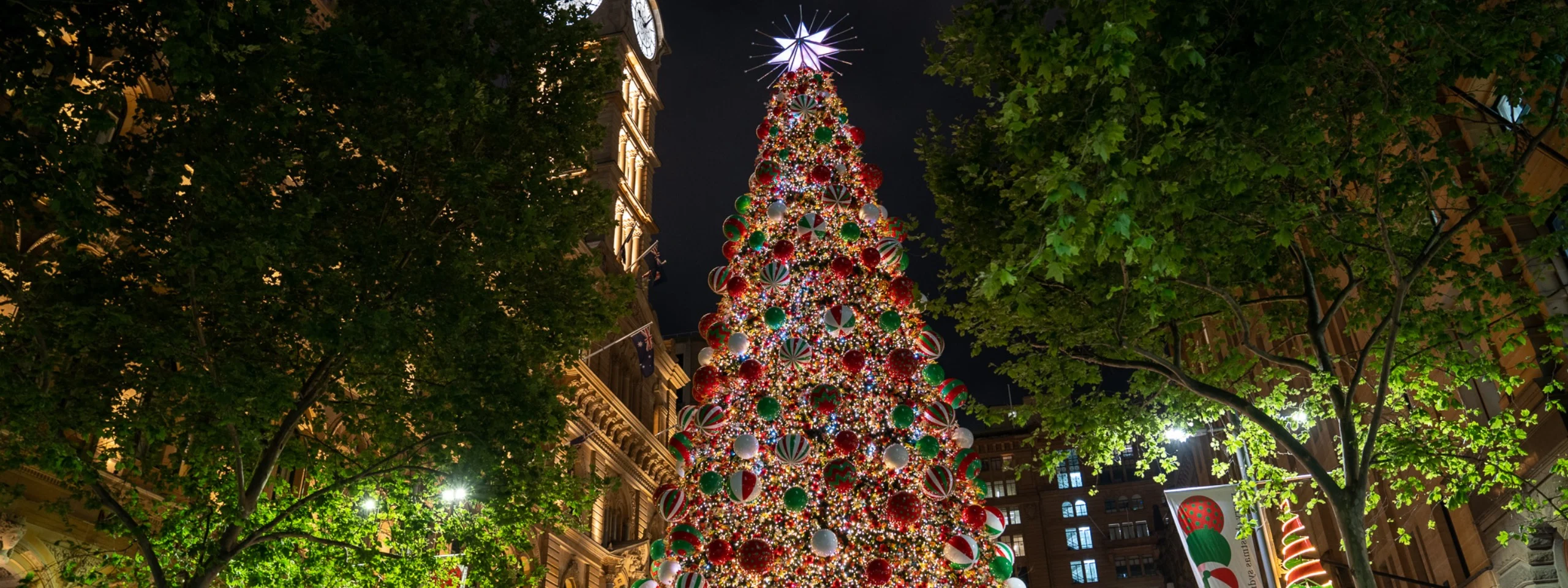 The Martin Place Christmas tree is decorated with more than 110,000 LED lights and 15,000 flowers