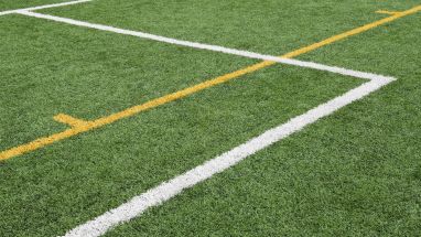 Sports field markings