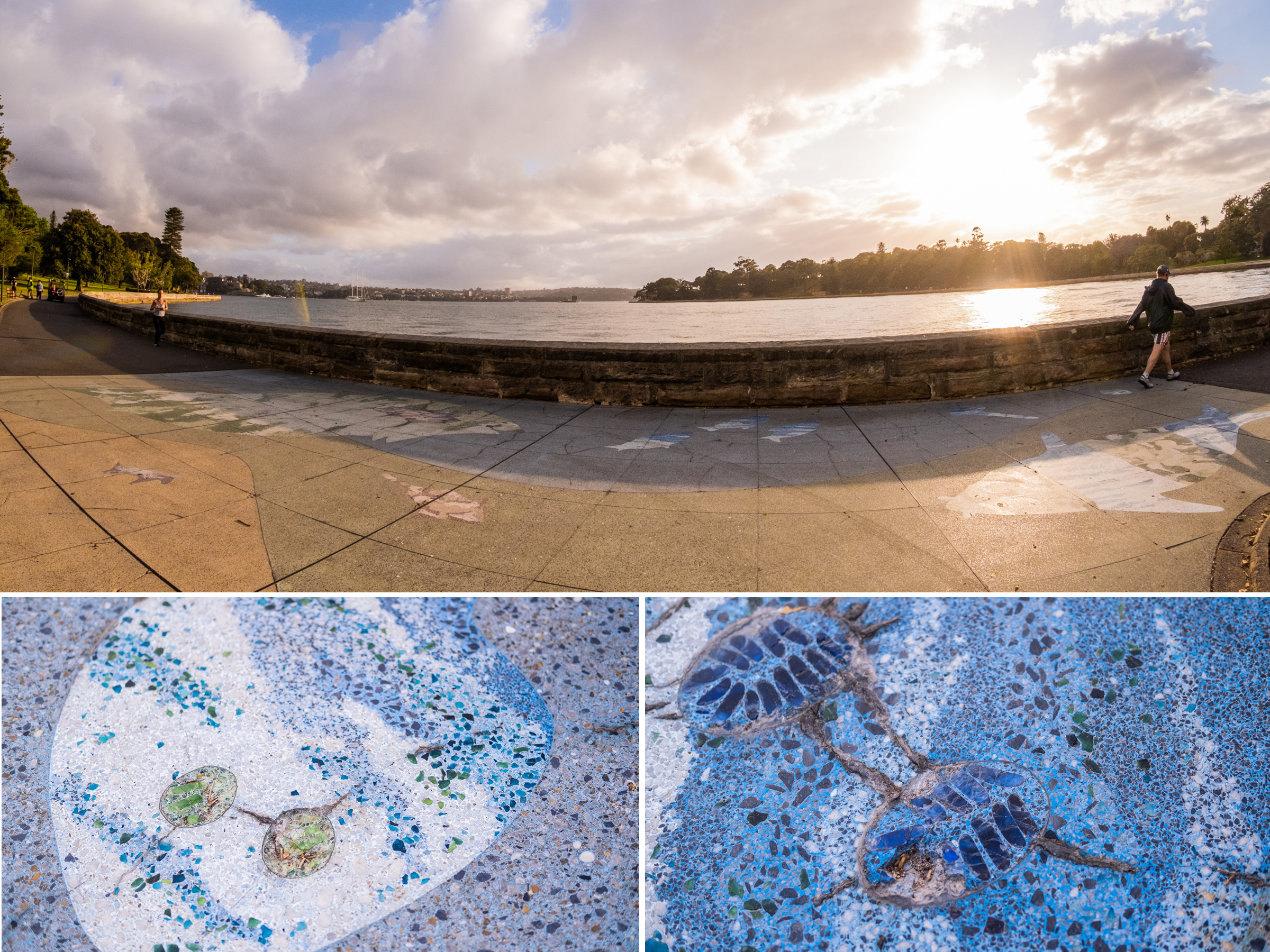 The terrazzo figures have to endure millions of foot steps every year. Photo: Chris Southwood / City of Sydney