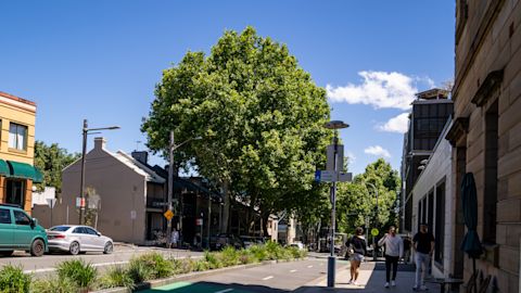 A street in Pyrmont in October 2022. Photo: Abril Felman / City of Sydney