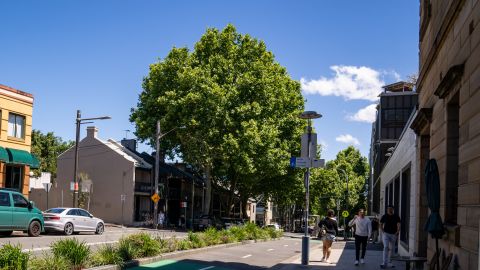 A street in Pyrmont in October 2022. Photo: Abril Felman / City of Sydney