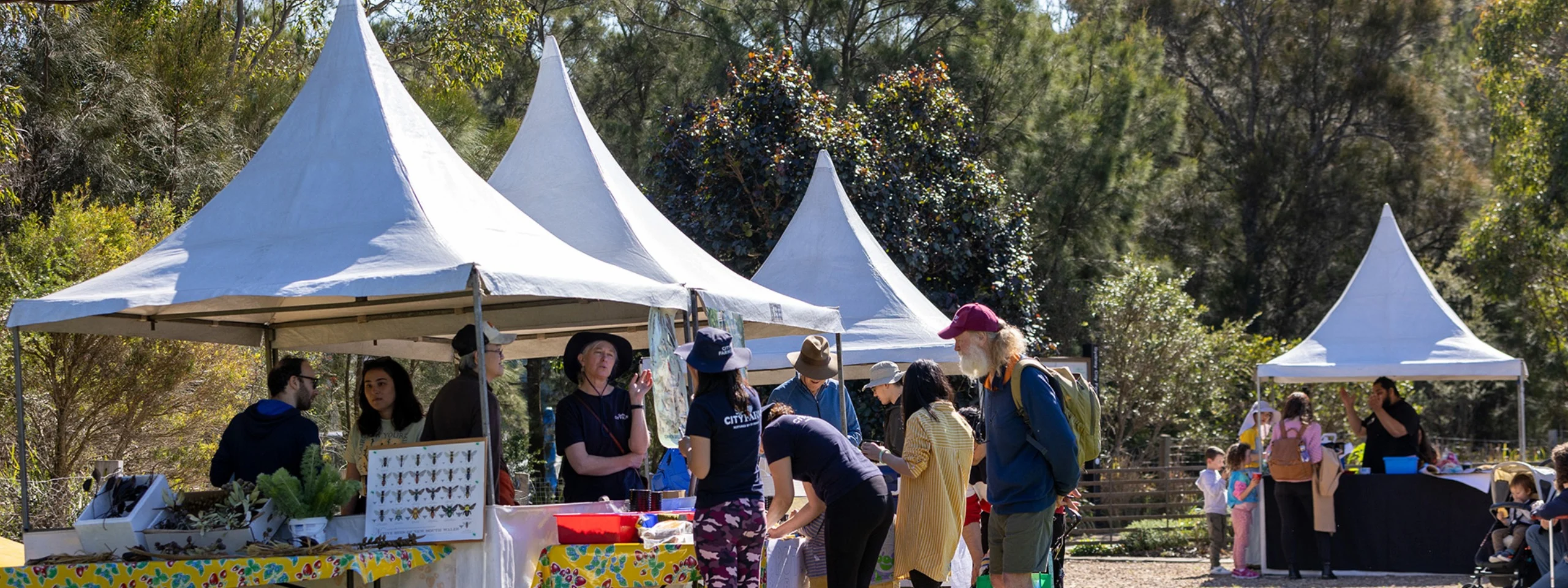 Get curious at the Sydney City Farm free open day
