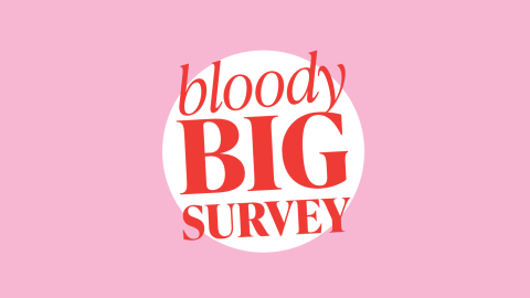 Graphic text "bloody big survey" on a pink background.