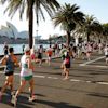 Runners participate in a marathon along a waterfront road near the Sydney Opera House and palm trees on a sunny day.