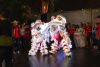 Two lion dancers perform in illuminated costumes on a wet street at night, surrounded by onlookers, some in red attire.