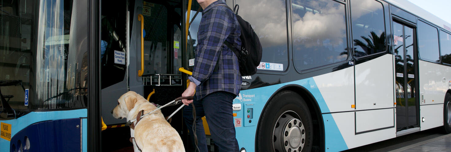 Person boarding NSW bus with seeing eye dog, they wear a blue checker shirt and a black backpack. Image courtesy of NSW Transport.