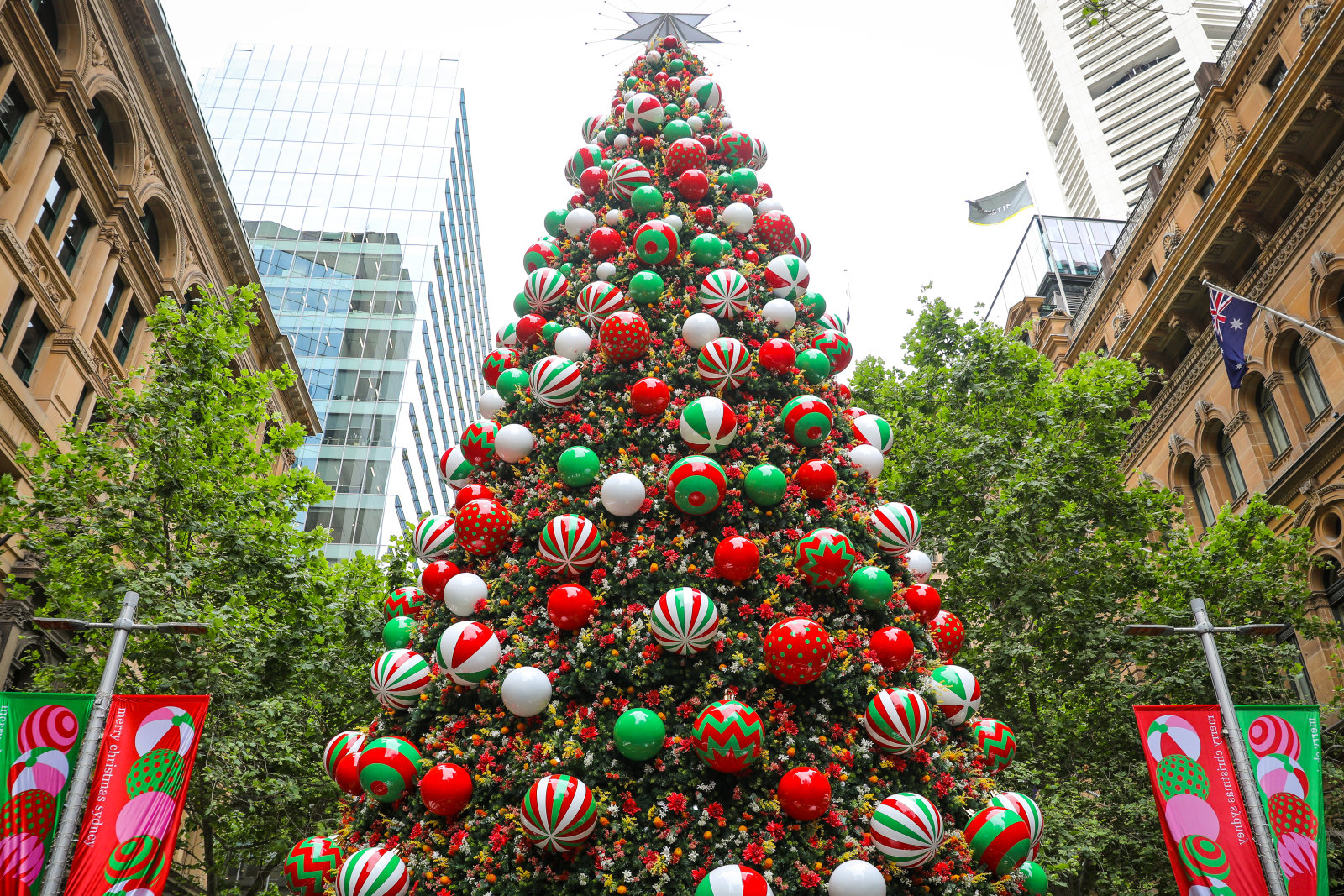 Christmas Martin Place