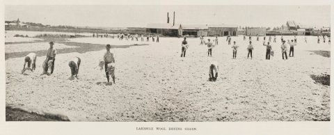 Lakeside wool wash and drying green at Botany, 1899. Credit: Sydney Mail, 4 March 1899, courtesy State Library of NSW