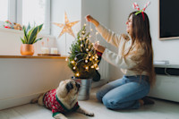 A potted native Christmas tree can last you a lifetime. Image: Getty Images
