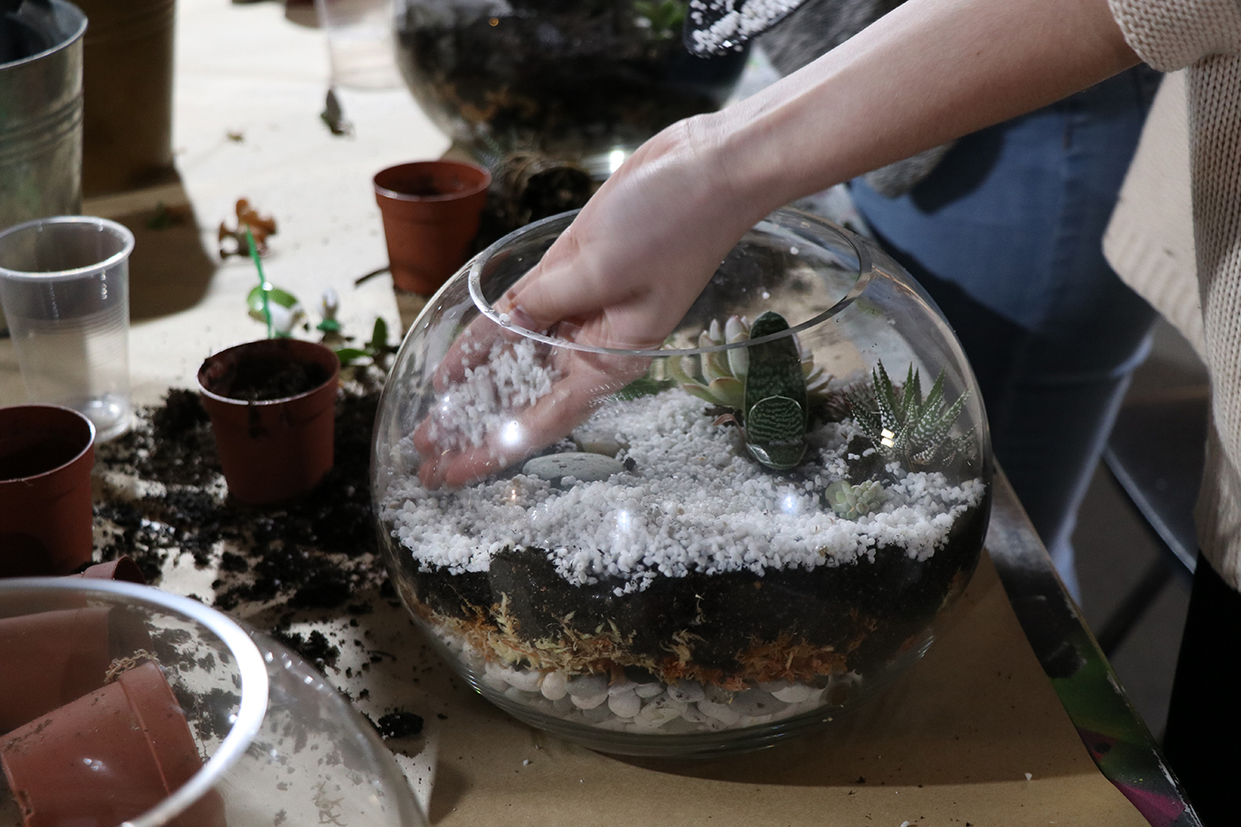 Terrarium making at Work-Shop