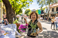 Sydney Streets on Glebe Point Road. Photo: Katherine Griffiths