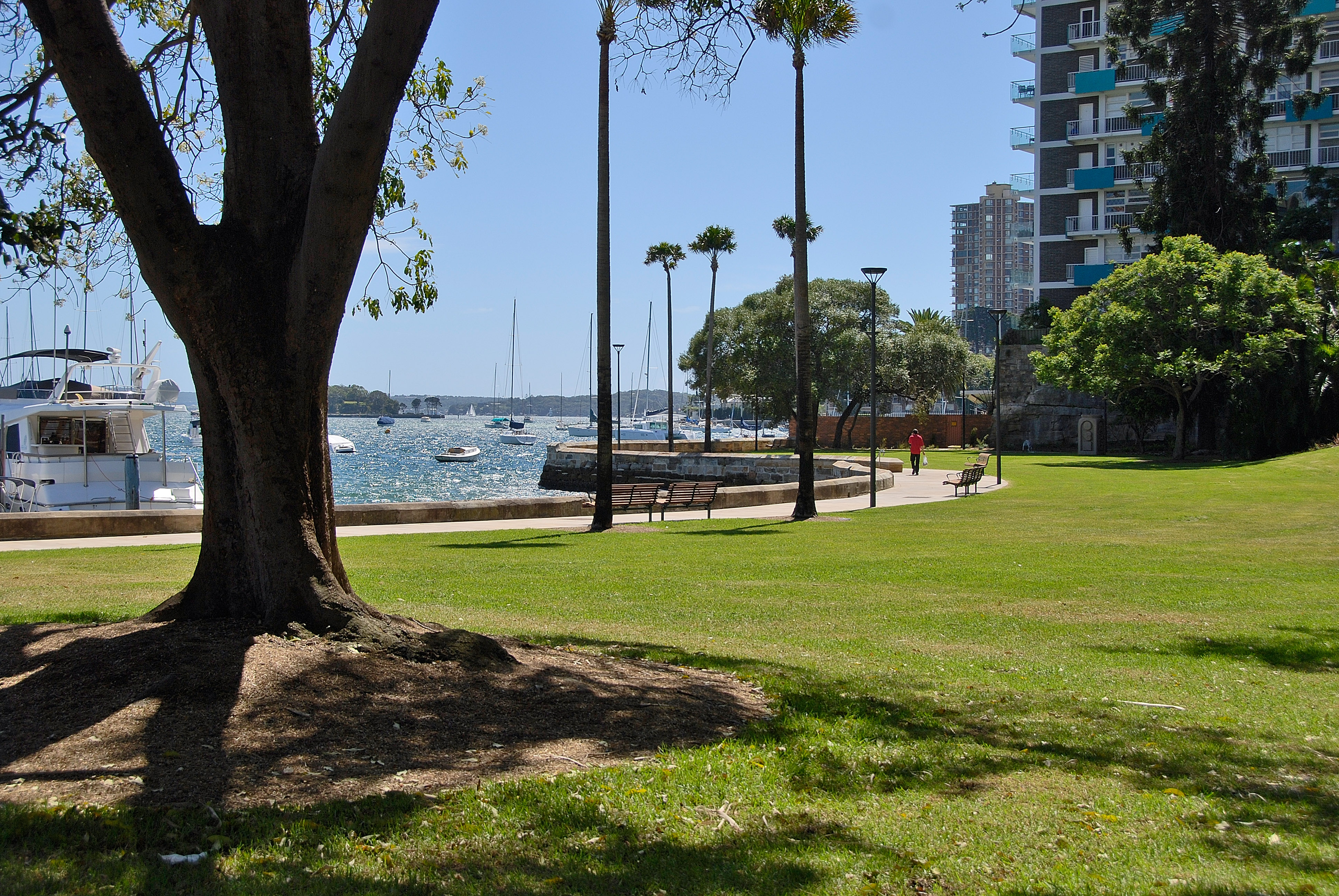 Beare Park, Potts Point