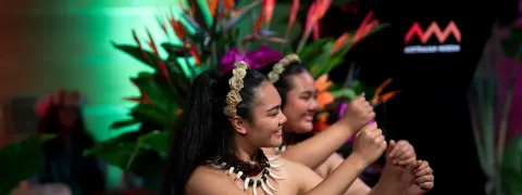 Australian Museum Pasifika Gallery, Wansolmoana