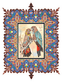 'Refugee birds’ by Muhammad Akbar Farhad