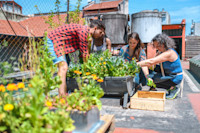 A place with plenty of sunshine will help your plants grow