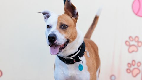 Image: Chris Southwood / City of Sydney