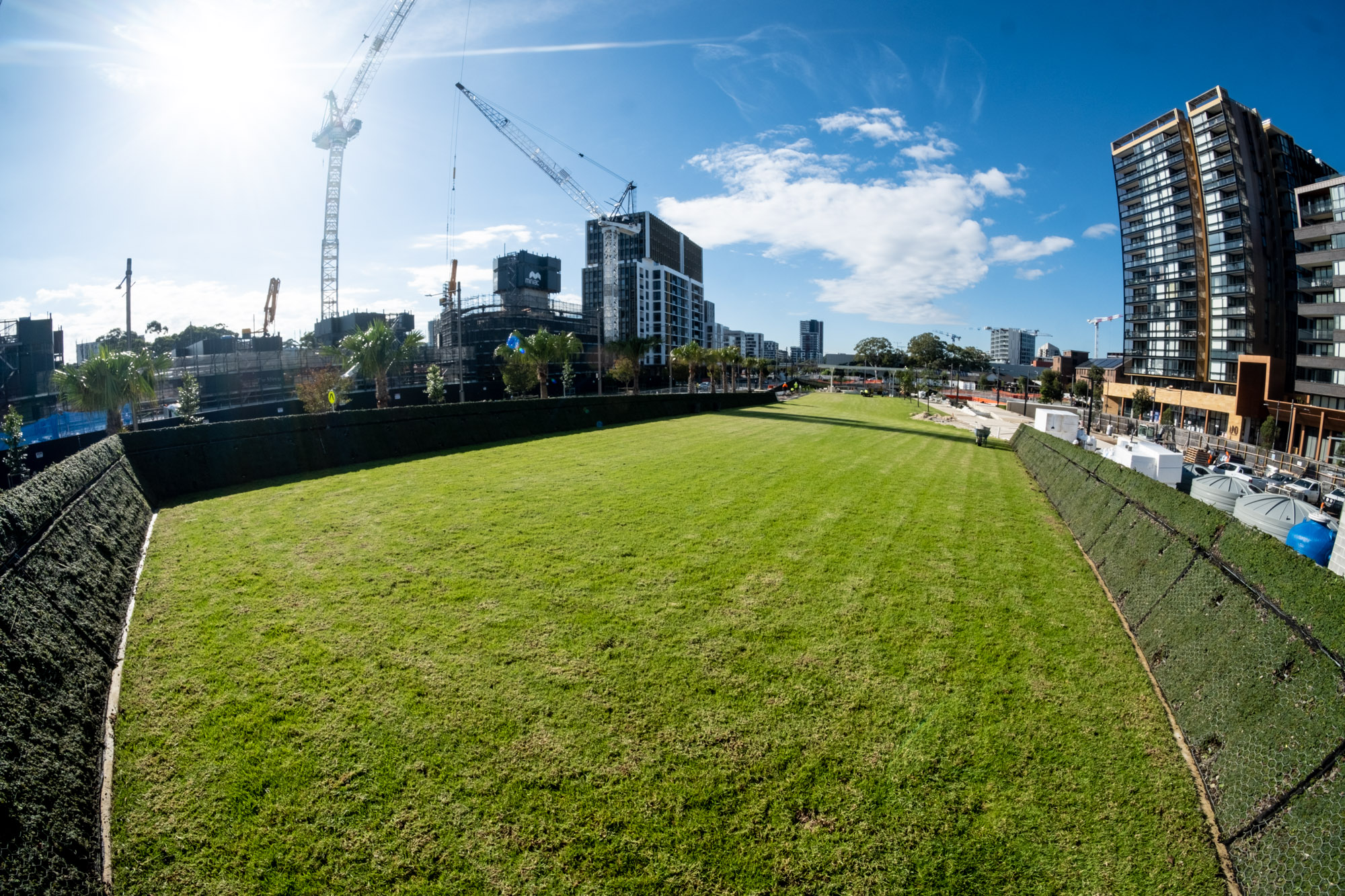 The Drying Green is found on Zetland Avenue and will offer cooling, green space for the community. 