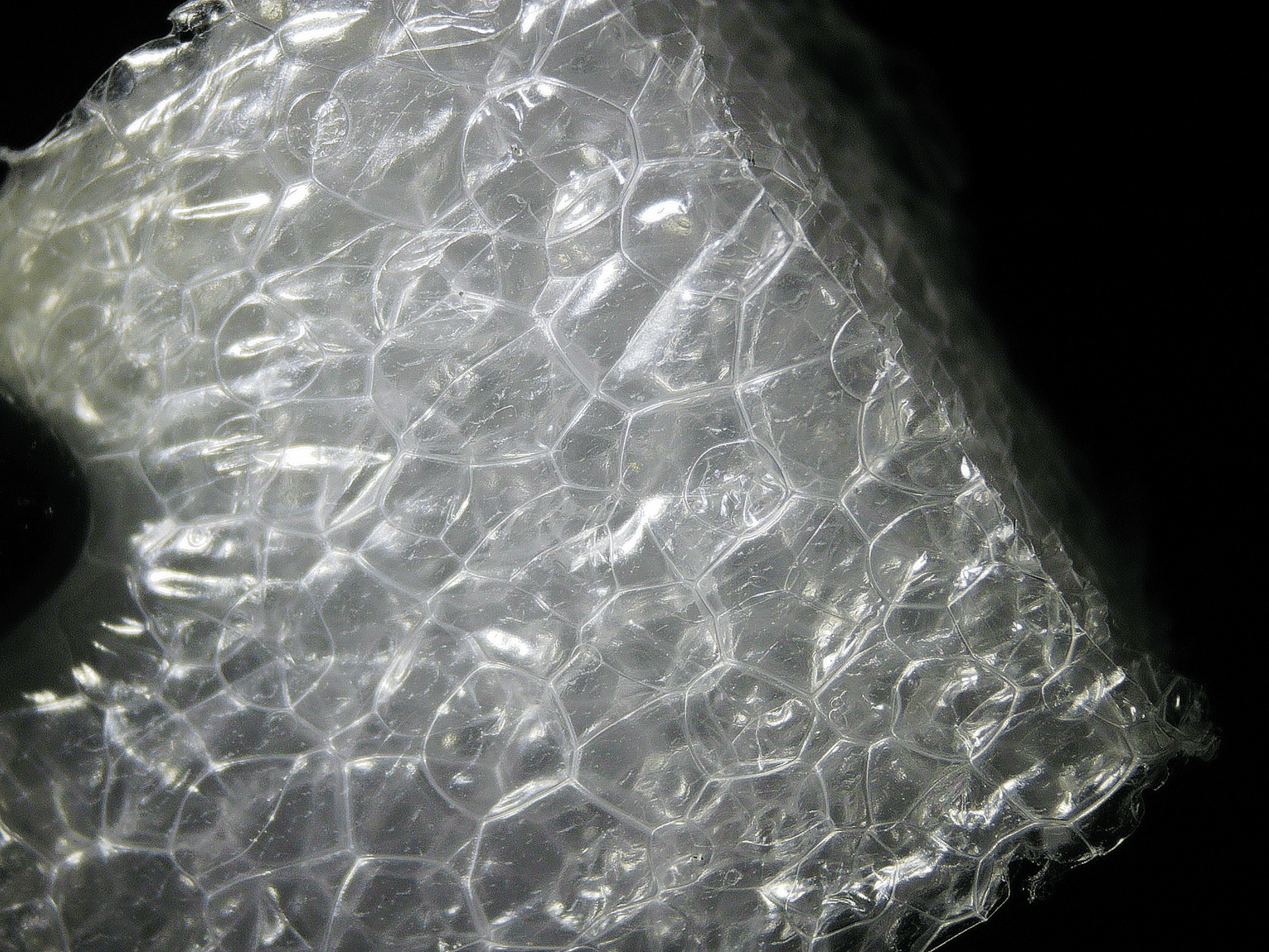 Frozen Froth