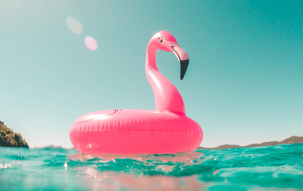 Teaser Alert! We are Ending this Summer With a Big Reveal!