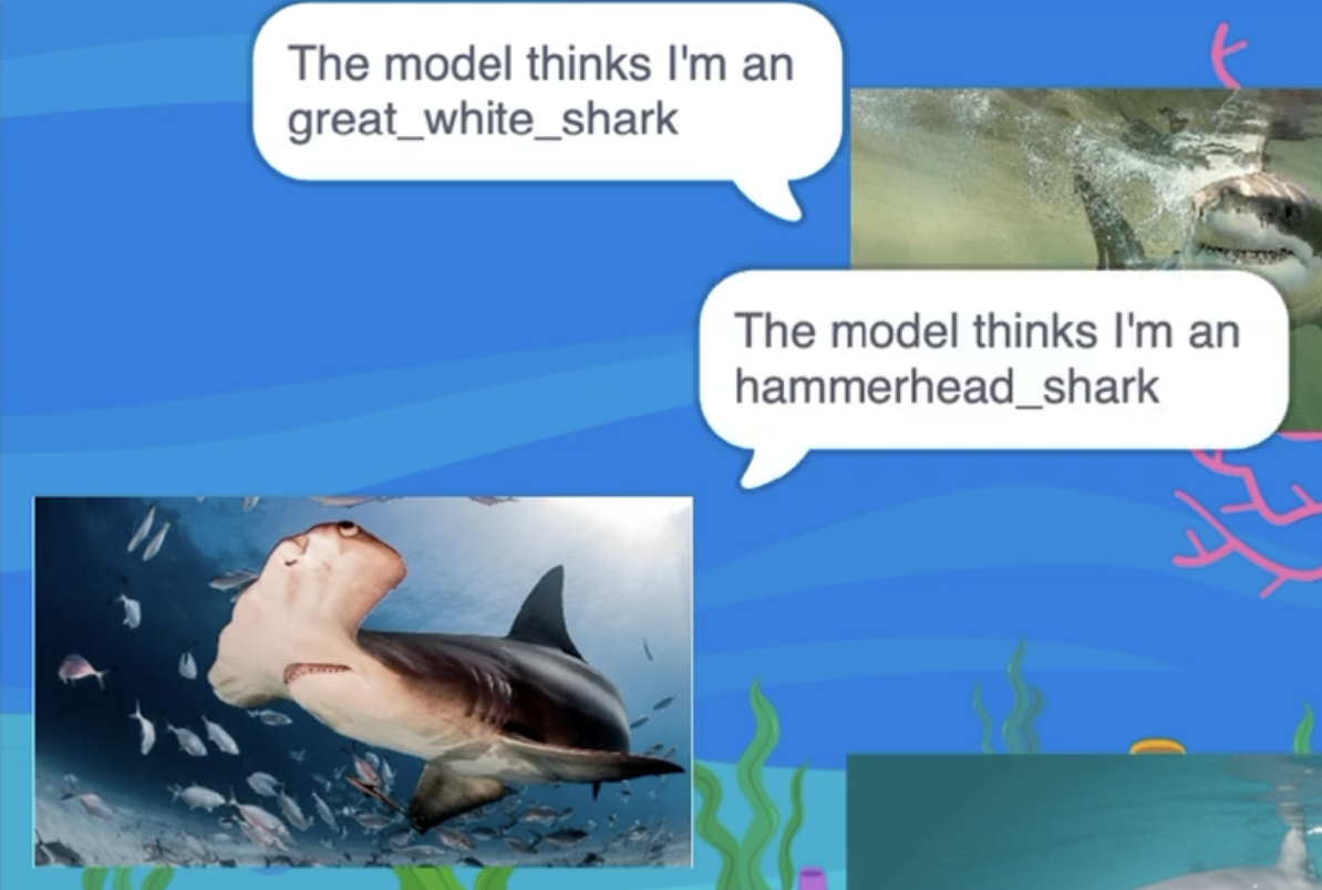 screenshot of a scratch project involving sharks