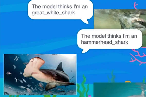 screenshot of a scratch project involving sharks