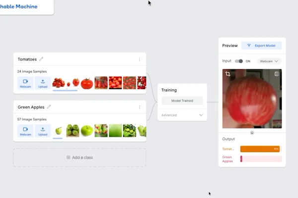 A screenshot of Teachable mistaking a red apple for a tomato