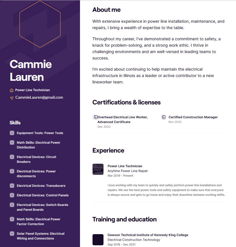 Cammie Lauren master lineman resume example