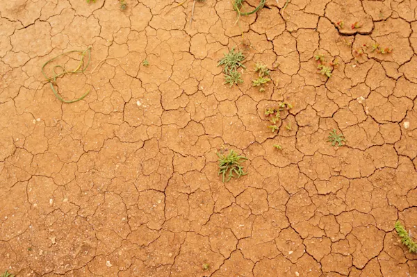 Physical Climate Risk: What It Is and How to Assess It