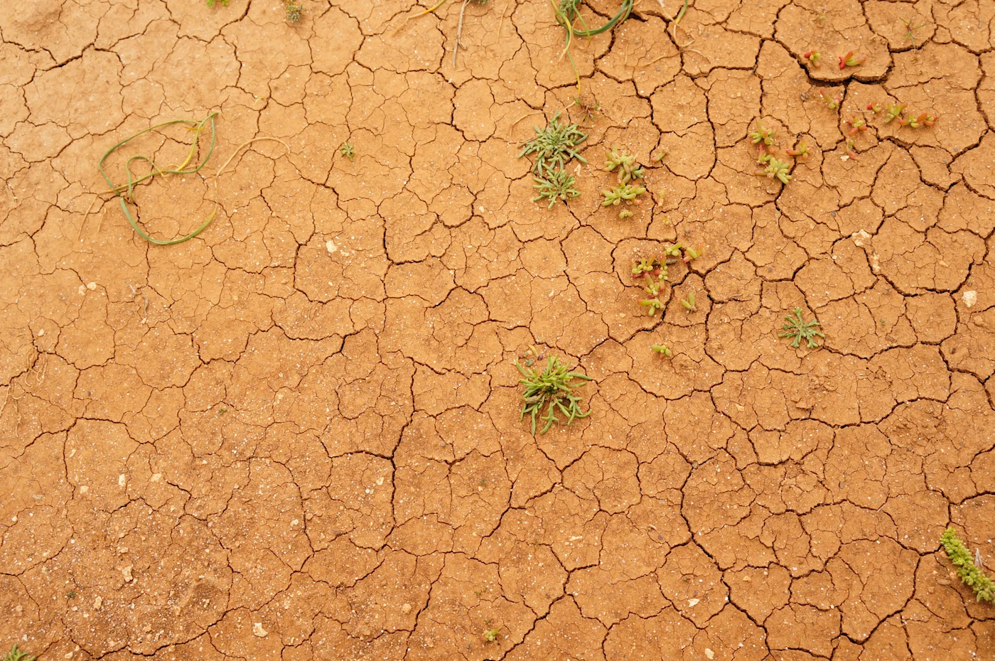 Physical Climate Risk: What It Is and How to Assess It
