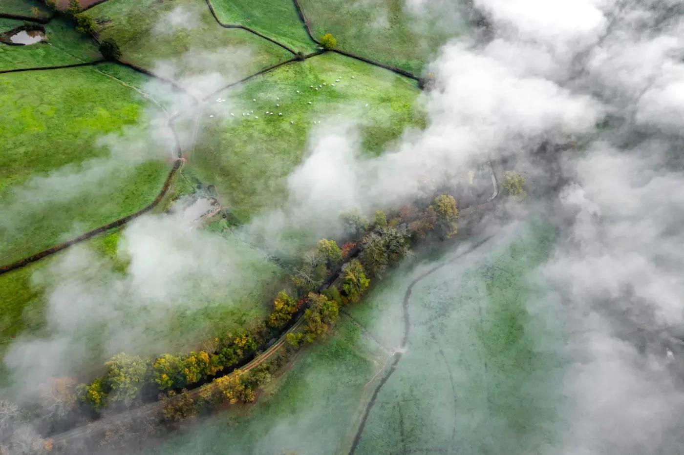 The Climate Risk Assessment Process: From Identifying Risk to Operational Action