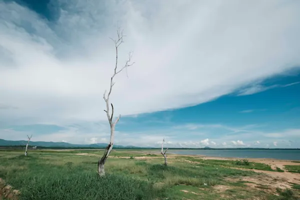 Climate Risk Consultant vs Software Platform: How to Choose the Right Approach