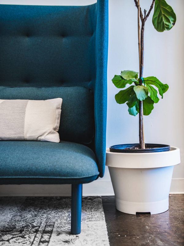 Hudson Media office interior design renovation by Basicspace. Close up detail of individual chair highlighting monochromatic blue texture along rug and wood floor.