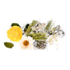 Potpourris & Blüten-Clips