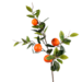Blumen