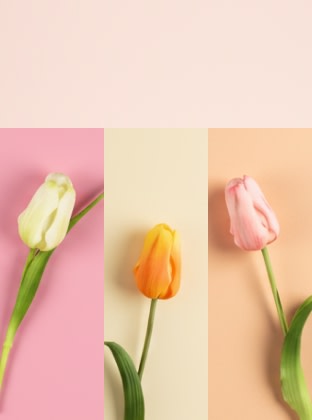 Zeit für blühende Akzente