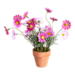 Blumen