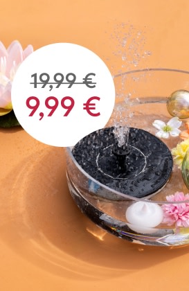 Unser Sommerliebling im SALE
