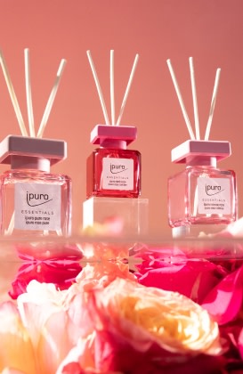 ipuro Rose Revolution