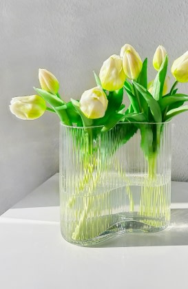 Zarte Frühlingsvorboten