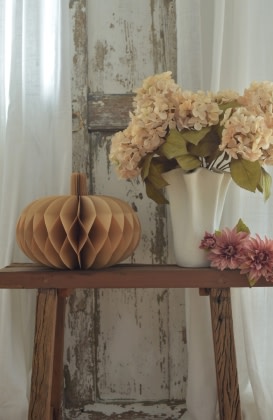 Harmonie in Herbsttönen