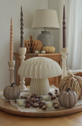 Ein Tablett voll Herbstmagie