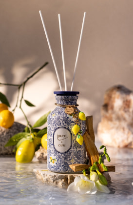 ipuro Summer City Tour