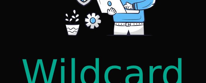 Install WILDCARD SSL on Ubuntu Manual DNS