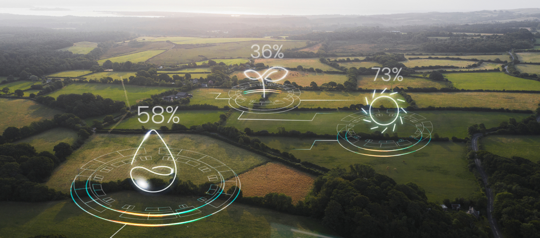 Agricultural insights