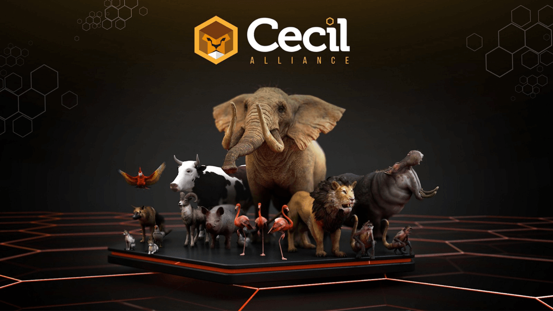 Cecil alliance