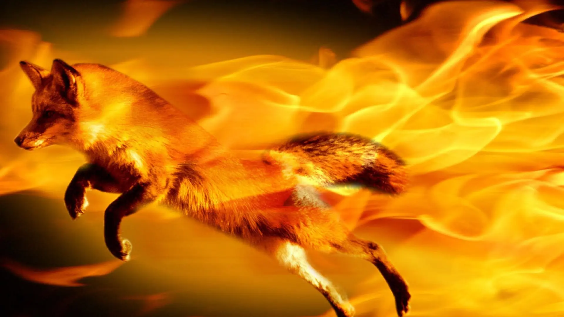 Cara Download & Install Mozilla Firefox Versi Tertentu