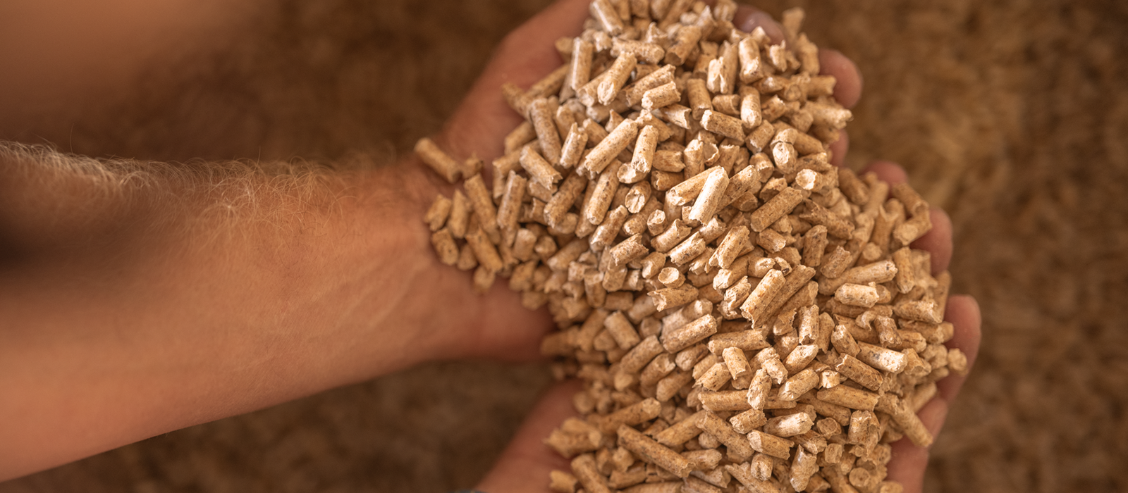 Jetzt Holzpellets bestellen