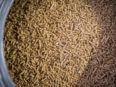 Pellets de bois dans un conteneur vu de haut