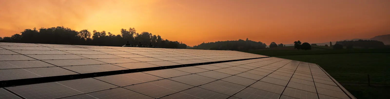 Gros plan sur les modules solaires de l'installation AGROsolaire de Mettmenstetten au lever du soleil