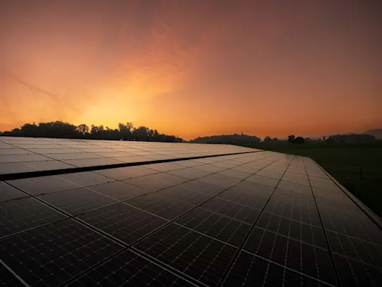 Gros plan sur les modules solaires de l'installation AGROsolaire de Mettmenstetten au lever du soleil